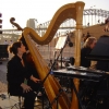 Metropolitan Chamber Orchestra, Sydney Opera House Forecourt concert